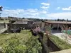 Jardin Venezia vente de notre maison d'hote - gite - à vendre avec piscine à Perpignan (5).webp